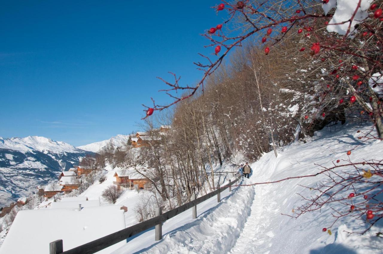 Greppons Cosy & Mountain Apartments By Alpvision Residences ヴェゾナ エクステリア 写真