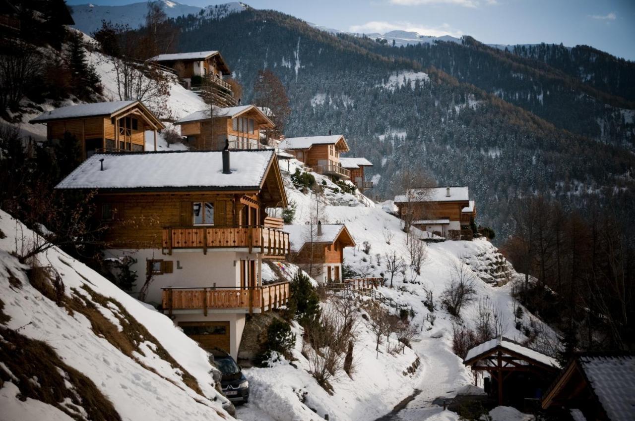 Greppons Cosy & Mountain Apartments By Alpvision Residences ヴェゾナ エクステリア 写真