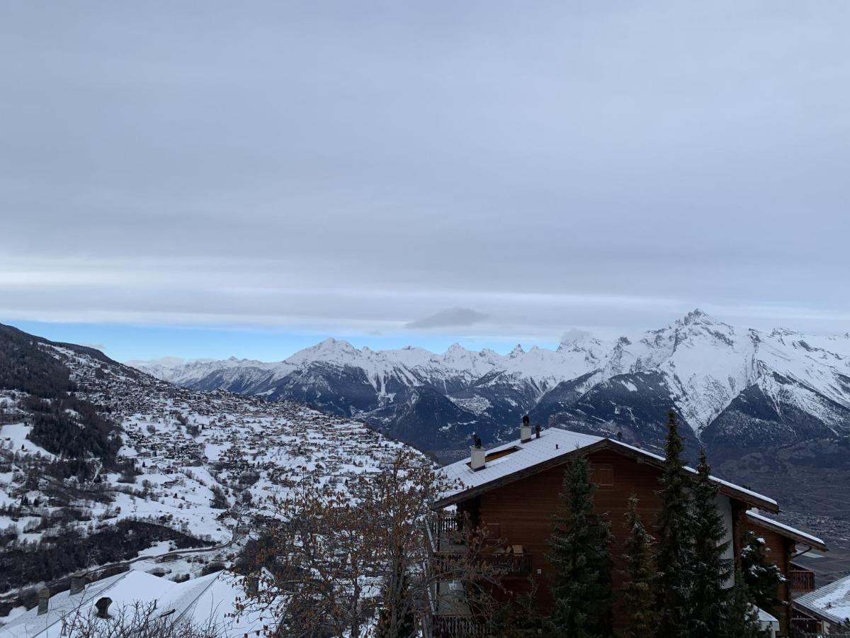 Greppons Cosy & Mountain Apartments By Alpvision Residences ヴェゾナ エクステリア 写真